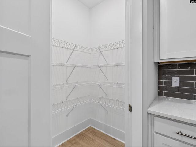 20 Elk Run Court, Chapin, SC 29036
