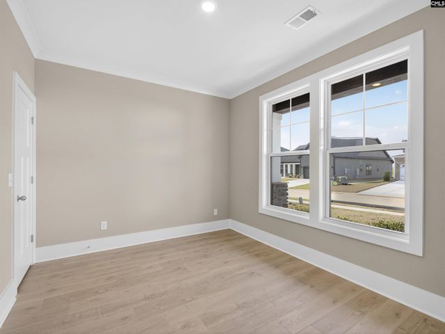 20 Elk Run Court, Chapin, SC 29036