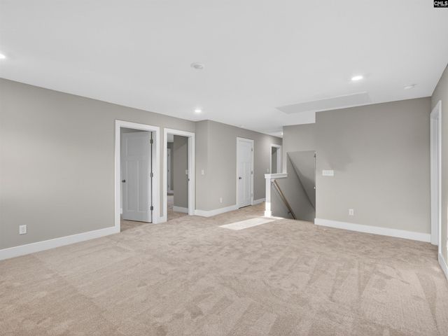 20 Elk Run Court, Chapin, SC 29036