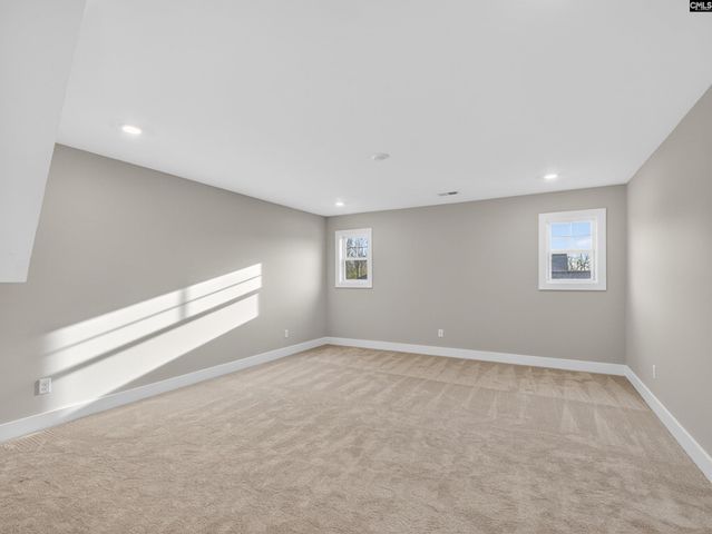 20 Elk Run Court, Chapin, SC 29036