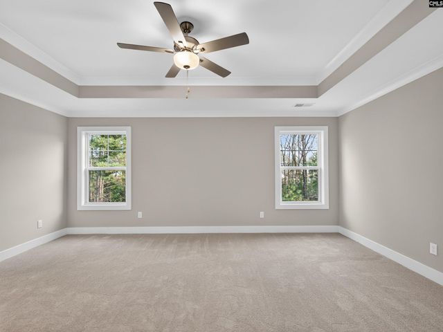 20 Elk Run Court, Chapin, SC 29036