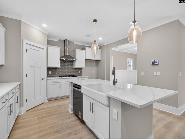 20 Elk Run Court, Chapin, SC 29036
