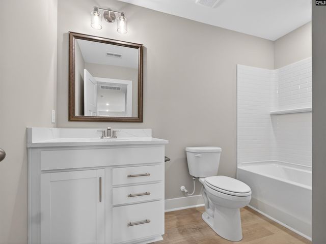 20 Elk Run Court, Chapin, SC 29036