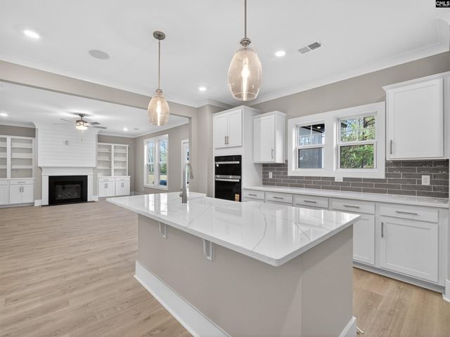 20 Elk Run Court, Chapin, SC 29036