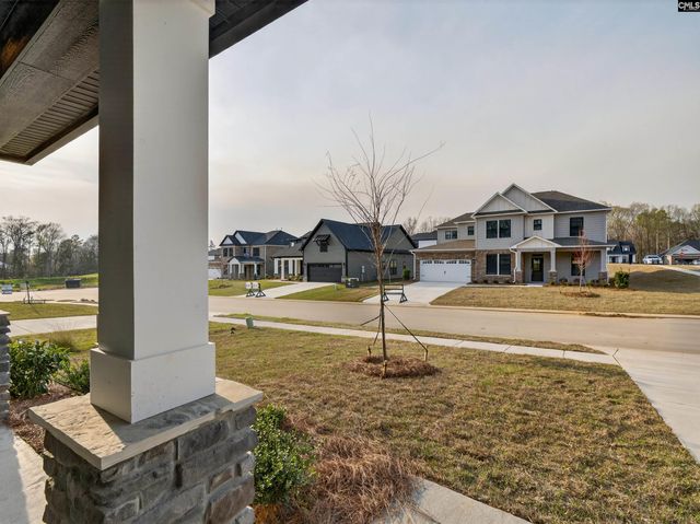20 Elk Run Court, Chapin, SC 29036