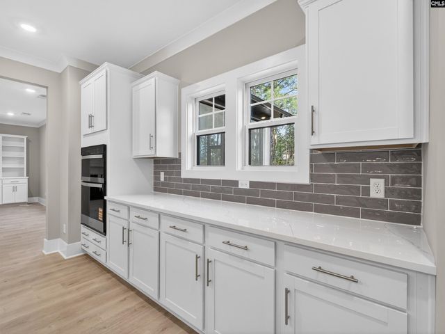 20 Elk Run Court, Chapin, SC 29036