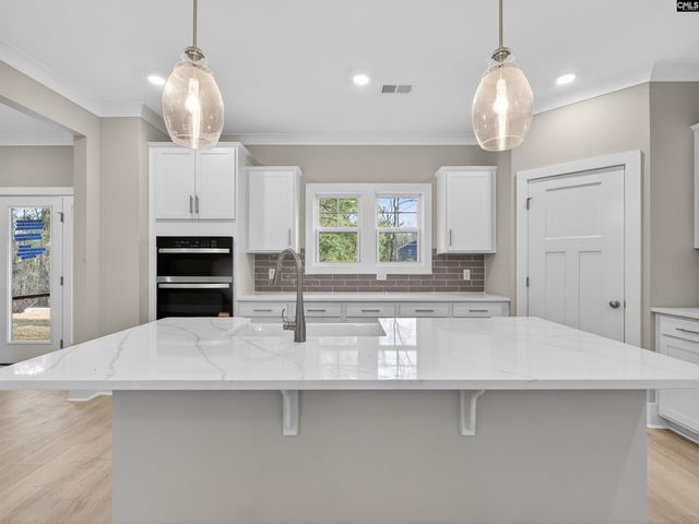 20 Elk Run Court, Chapin, SC 29036