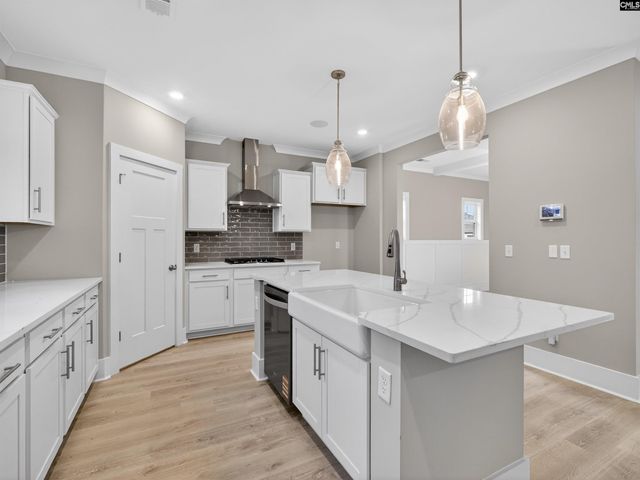 20 Elk Run Court, Chapin, SC 29036