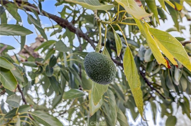 23191 Canyon Estates, Corona, CA 92883