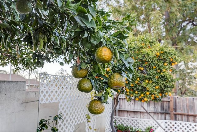 23191 Canyon Estates, Corona, CA 92883