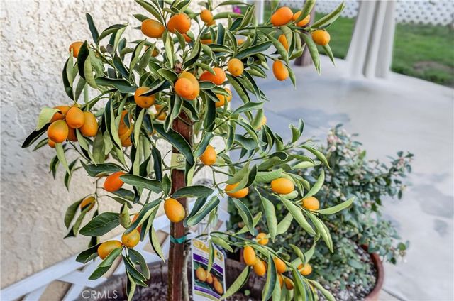 23191 Canyon Estates, Corona, CA 92883