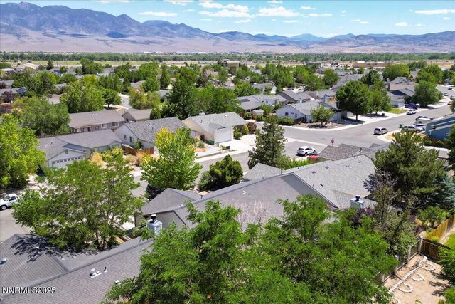 539 Rawe Peak Drive, Dayton, NV 89403