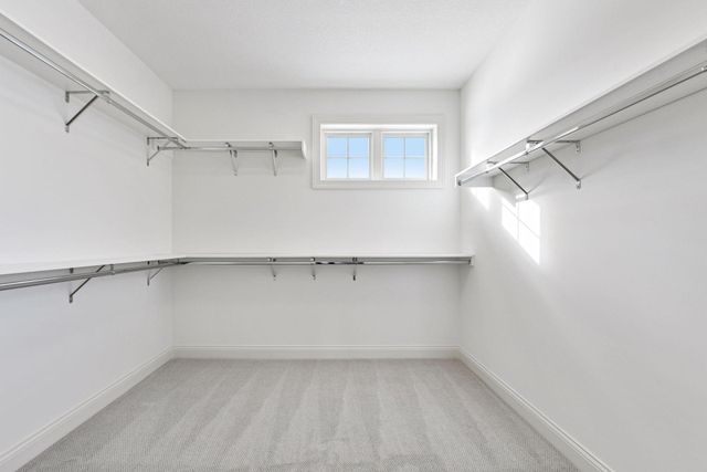 202 Sandy Shores Road, Waconia, MN 55387