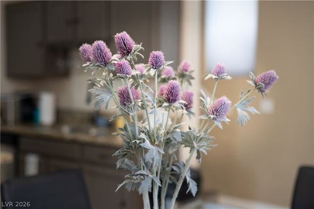 10876 Avenzano Street, Las Vegas, NV 89141