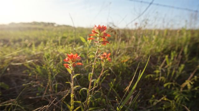 TBD Lot 2 Adams Road, Sherman, TX 75090