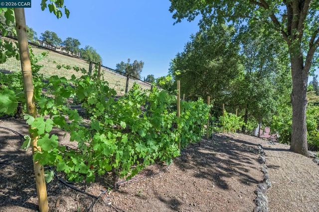 3211 Stone Valley Road, Alamo, CA 94507