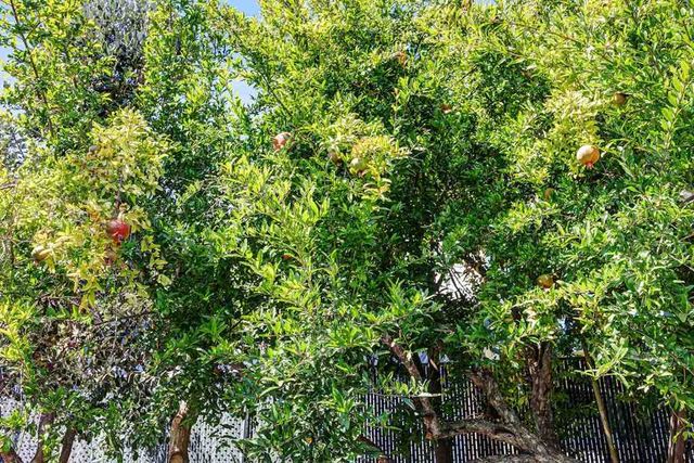 2309 High St, Oakland, CA 94601