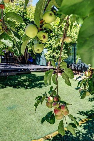 2309 High St, Oakland, CA 94601