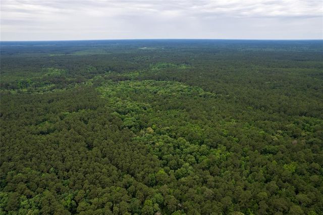 00000 N Fm-1725, Cleveland, TX 77328