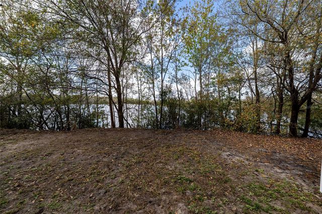 460 LAKE SHORE PARKWAY, Davenport, FL 33896