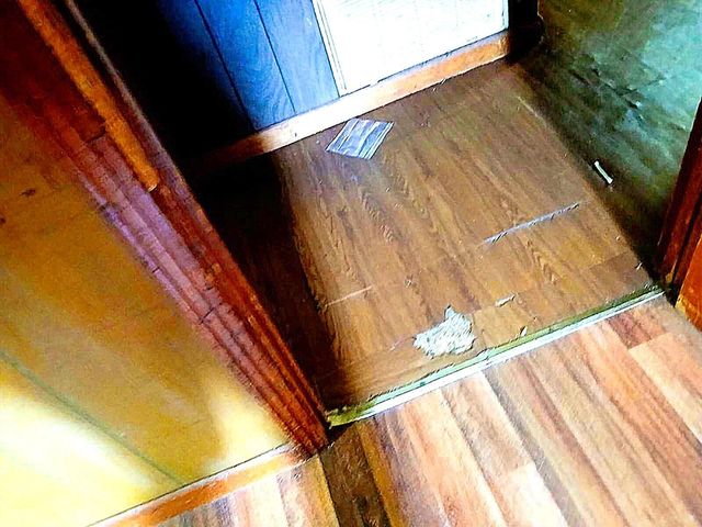 22 Elmer Miller RD, Trenton, TN 38382
