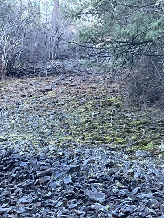 31270 Blue Grouse E Dr, Davenport, WA 99122 photo 2