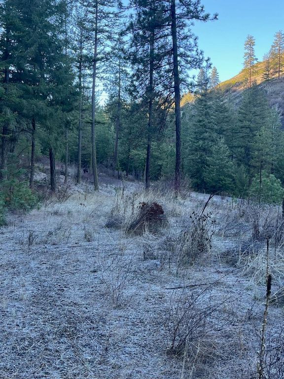 31270 Blue Grouse E Dr, Davenport, WA 99122 photo 3