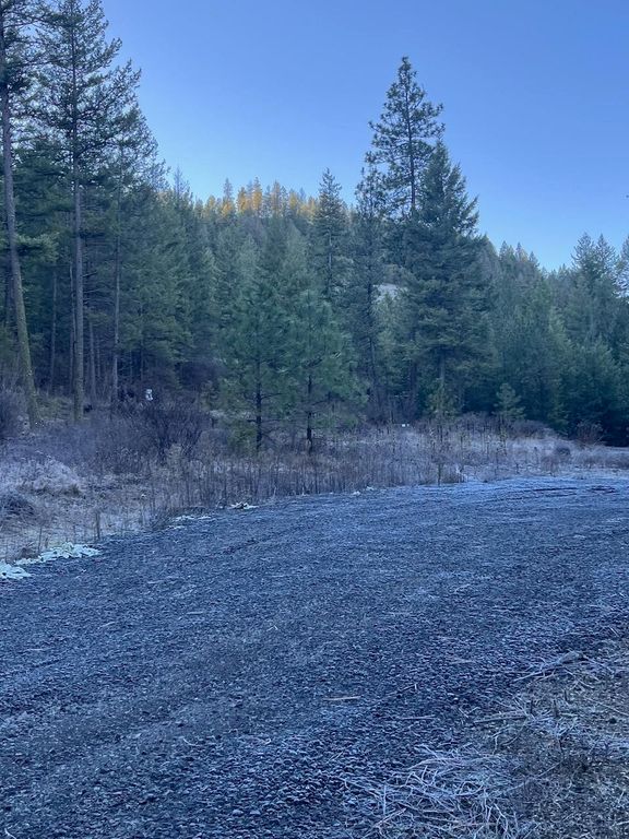 31270 Blue Grouse E Dr, Davenport, WA 99122 photo 5