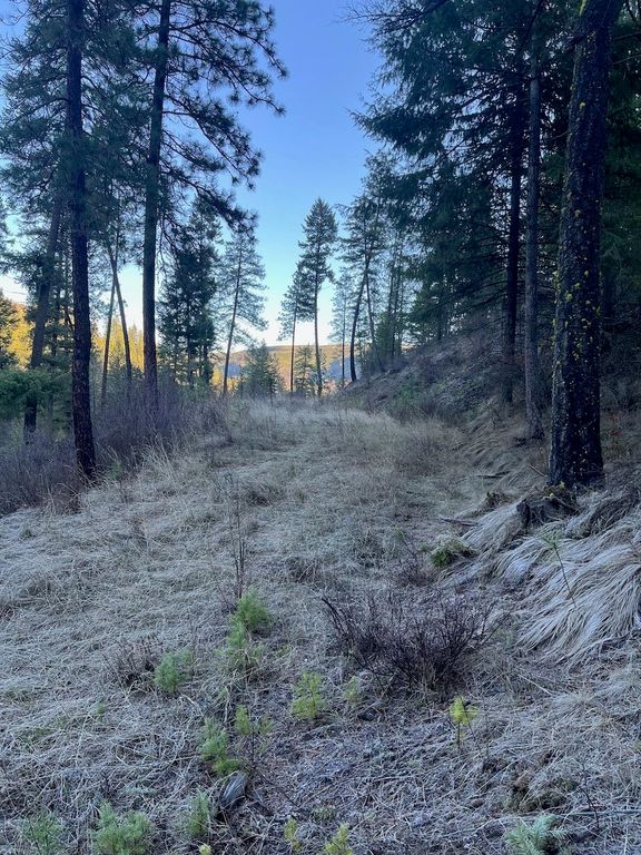 31270 Blue Grouse E Dr, Davenport, WA 99122 photo 6