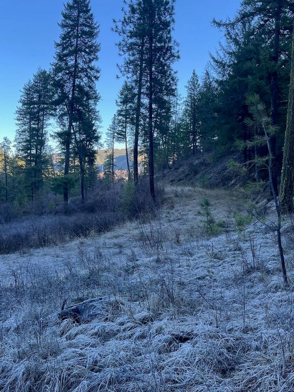 31270 Blue Grouse E Dr, Davenport, WA 99122 photo 7