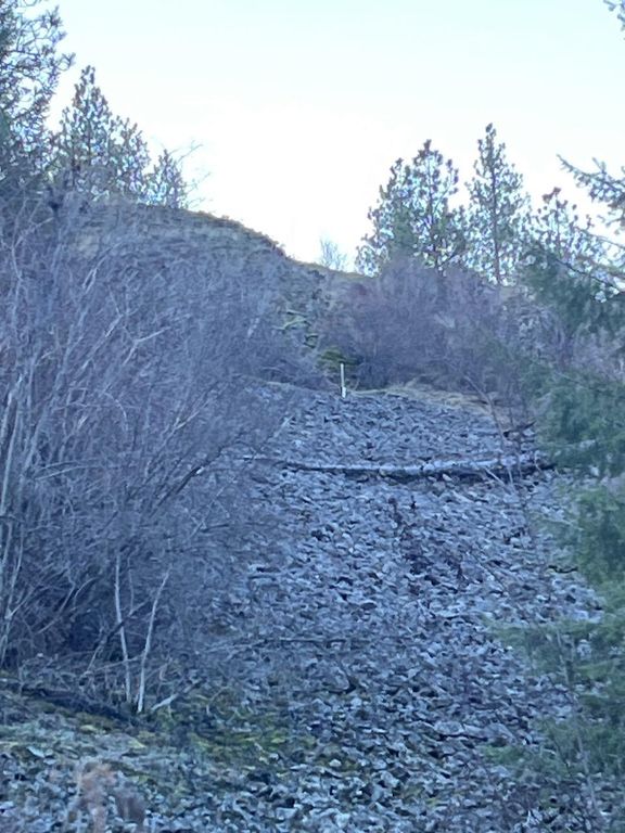 31270 Blue Grouse E Dr, Davenport, WA 99122 photo 8