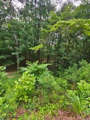 0 Pineywood Drive, Ringgold, GA 30736