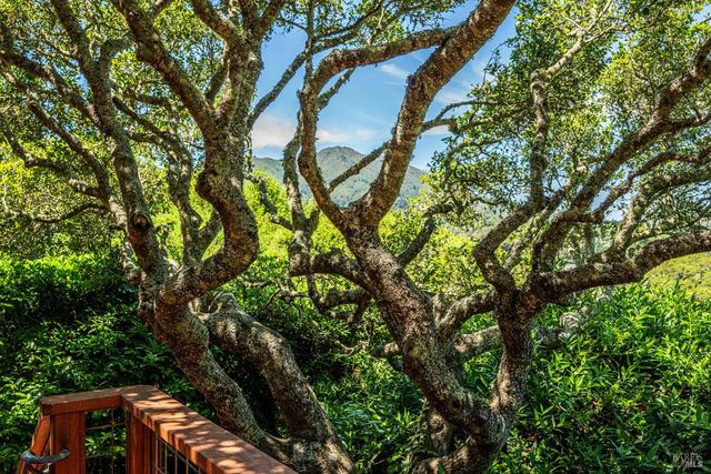 38 Helens Ln, Mill Valley, CA 94941