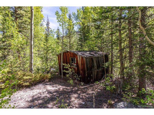 18990 Cr-294, Nathrop, CO 81236