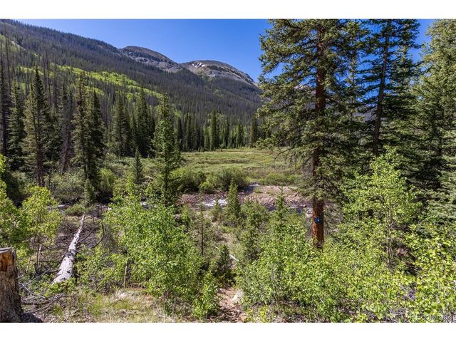18990 Cr-294, Nathrop, CO 81236