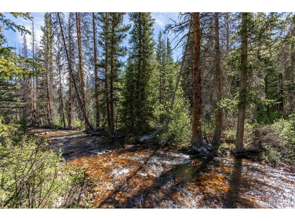 18990 Cr-294, Nathrop, CO 81236