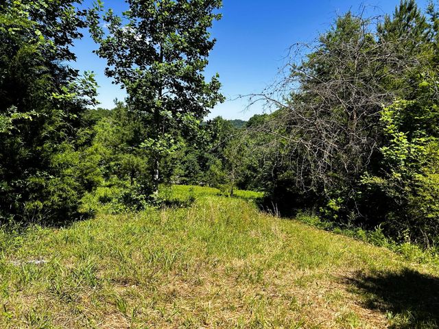 1060 County Road 130, Riceville, TN 37370