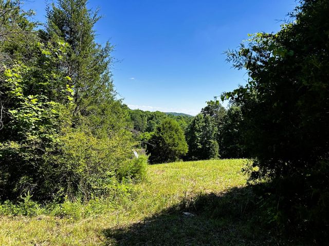 1060 County Road 130, Riceville, TN 37370