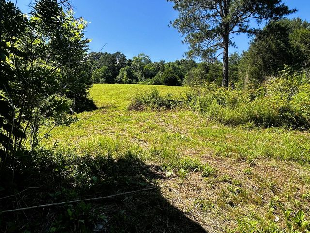 1060 County Road 130, Riceville, TN 37370