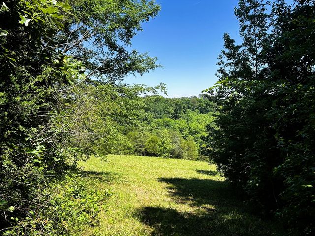 1060 County Road 130, Riceville, TN 37370