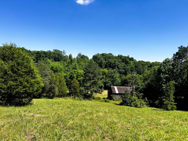 1060 County Road 130, Riceville, TN 37370