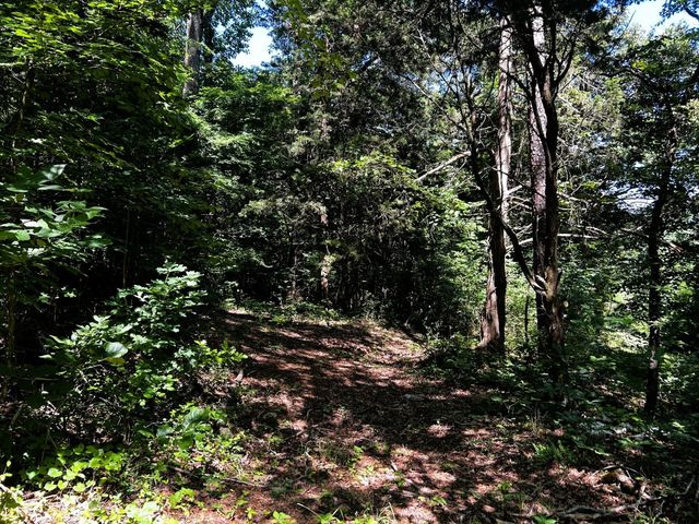 1060 County Road 130, Riceville, TN 37370