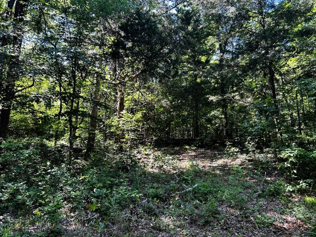 1060 County Road 130, Riceville, TN 37370