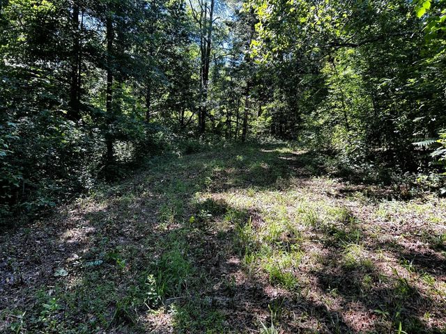 1060 County Road 130, Riceville, TN 37370