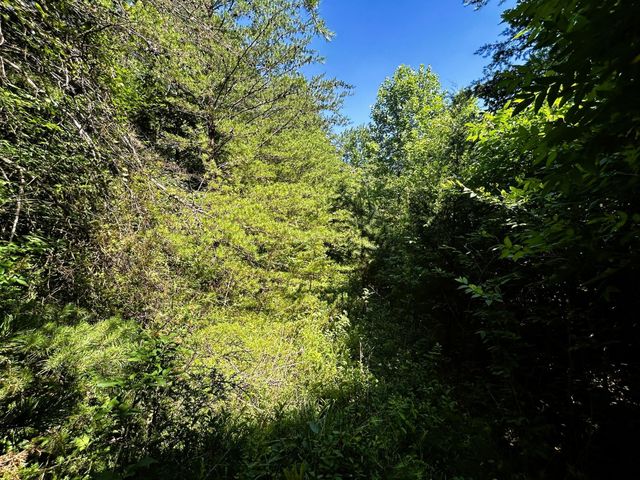 1060 County Road 130, Riceville, TN 37370