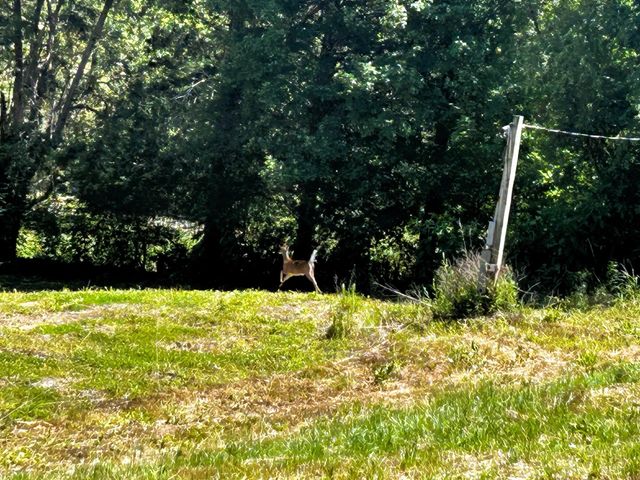 1060 County Road 130, Riceville, TN 37370