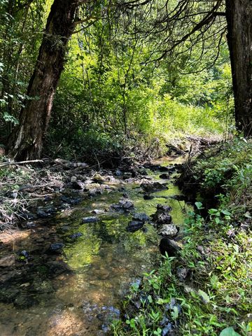 1060 County Road 130, Riceville, TN 37370