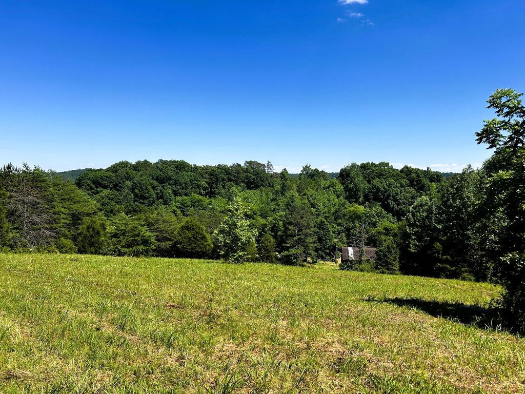 1060 County Road 130, Riceville, TN 37370