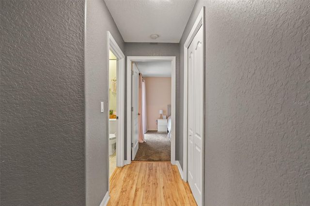 10327 VELVETSEED CIRCLE, Spring Hill, FL 34608