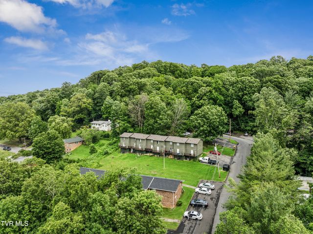 1419 Colony Park Drive, Johnson City, TN 37604